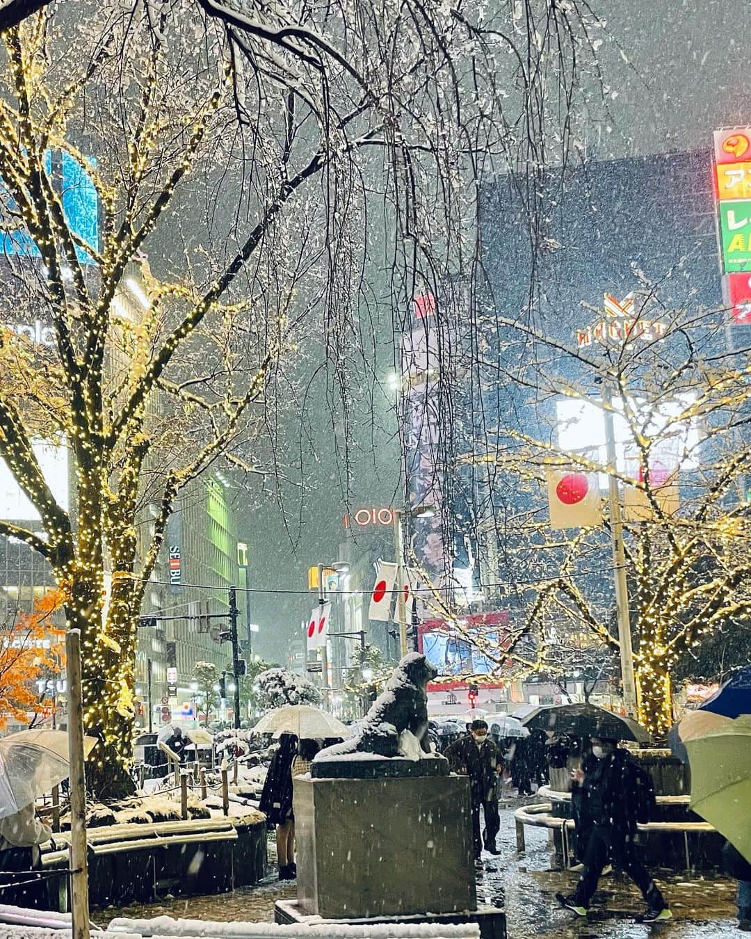 小澤陽子さんのインスタグラム写真 - (小澤陽子Instagram)「𝚊𝚝 𝚠𝚘𝚛𝚔☻  今日の Live News イット！では、 今夜はじまった木10ドラマ『ゴシップ』から、 主演の黒木華さんにお話を伺い、 そのあと渋谷へ向かい、雪取材へ…🏃🏼‍♀️🎤❄️  外で８時間、雪の中☃️取材＆中継をしていたので、 みんなで頭から〜爪先まで、びしょ濡れ…🥶💦 長野・秋田出身のクルーも驚く程、想像以上の降雪でした。  辛い現場こそ、ディレクターや技術チームとも チームワークが生まれ、写真を撮りたくなります…😂🌸 やり切った！！！寒い中がんばったよ！！ そう自分たちを褒めたくなった今年初の現場取材日で、 帰宅後のお風呂が天国でした。。🛁♨️  渋谷には、大雪✖︎ハチ公という珍しい光景に、 写真を撮る多くの人の姿がありました。(しかも🍁)  ただ、交通の影響などもありましたし、 脚元は滑りやすくなっていたので心配です😢 みなさん、大丈夫でしたか、、？？  この後も、明日の朝も、 路面の凍結の恐れなどありますので 雪に慣れていない、私を含めた皆様…！ 移動・運転の際は気を付けましょう😣😶‍🌫️😤 風邪も引かないように！！  #イット！ #ハチ公 #渋谷 #現場取材🏃🏼‍♀️🎤 #フィールドキャスター みなさんにも、ちょっと珍しいハチ公の姿をシェア🐕❄️」1月6日 22時43分 - yoko.ozawa729
