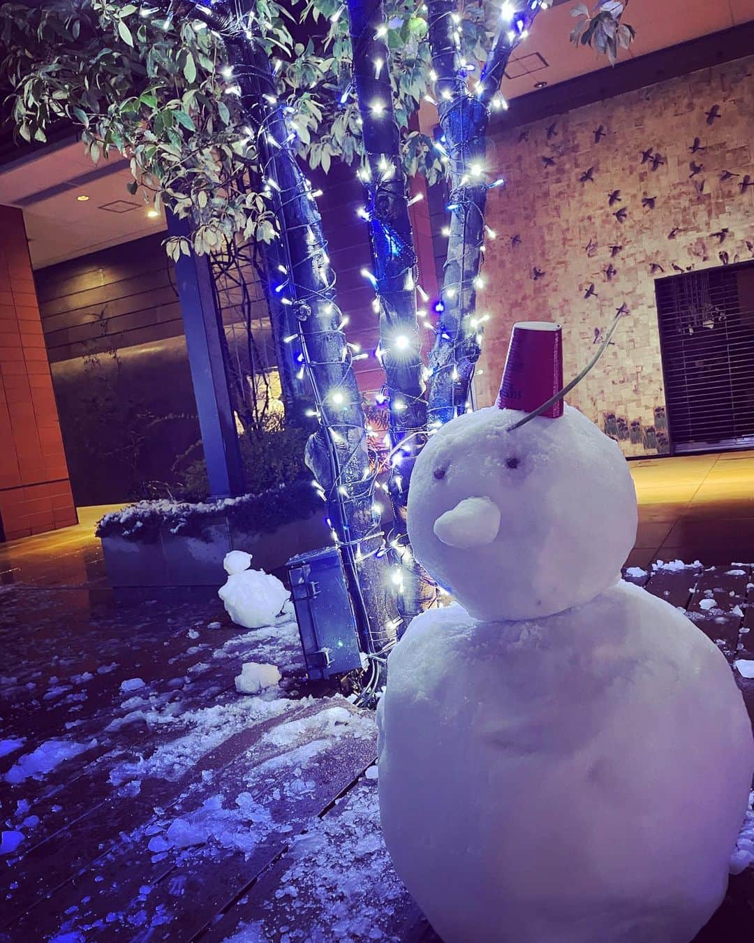 上田桃子のインスタグラム：「⛄️🤍❄️🤍⛄️❄️  #2022 #初雪 #ツルンツルン #勉強day」