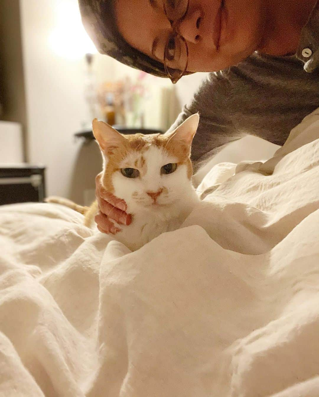 猫沢エミさんのインスタグラム写真 - (猫沢エミInstagram)「イオちゃん、イオちゃん、雪の日はどうしたってキミを思い出す。  イオちゃんの命の決断を迫られた日も雪でした。  でも、今は雪を見ても前ほど苦しくない。それは、幾度も幾度も考えたイオの最期について、お互いが納得しあえているからかもしれない。  イオちゃんの白い部分は降りたての雪原のように眩かった。ほんと、キミは愛らしくて艶やかで、ステキなおんなの子だった。  今夜もママのお布団で、一緒にぬくぬく眠ろう。イオは旅立ったあの瞬間の、幸せのまま永遠に幸せでいられる。  #猫沢イオ　#イオちゃんフォーエバー　#この世の理を知っている深淵な眼差しをしていた　#イオのお顔を眺めると心がすっと落ち着くの　#キミへの愛は目減りするはずもなく」1月7日 0時53分 - necozawaemi