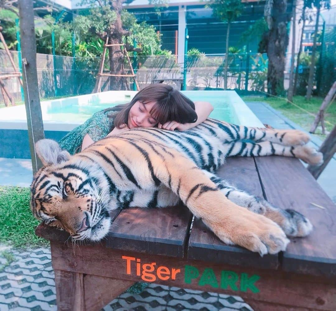 野崎萌香さんのインスタグラム写真 - (野崎萌香Instagram)「2022.1.6 お仕事始め🐅🌿  笑顔(ガオー🐯)の絶えない 一年になりますように🤭✨  ということで寅年に相応しい写真を❤️」1月7日 1時46分 - moeka_nozaki