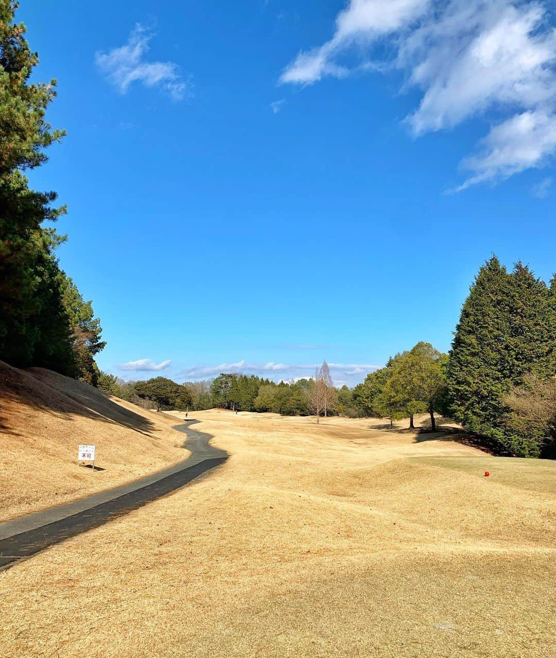 とくさきさんのインスタグラム写真 - (とくさきInstagram)「全身 @junandrope コーデだった日⛳️💛🖤 . 裏起毛タイツのお陰でめちゃくちゃ暖かかったよ💕 . 明日はゴルフです⛳️😍 . それでは皆様素敵な週末を〜✨ .  #ゴルフ#ゴルフ女子#golf#golfgirl#golfswing#ゴルフスイング#sports#スポーツ#スポーツ女子#골프#골프여자#尔夫球#高尔夫#ゴルフウェア#golfwear」1月21日 20時11分 - tokusaki_golf