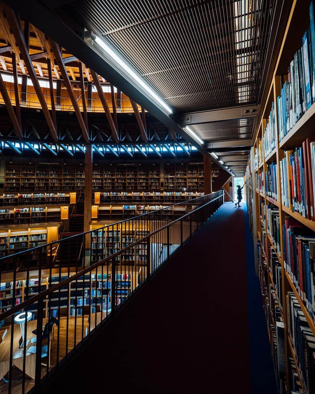 こんちゃんのインスタグラム：「日本で最も美しい図書館📚 秋田県の国際教養大学にある図書館は、日本一美しいらしくて行って見たらマジだった…何この建築美…！！！！ そしてここは大学なのでお昼ごはんに学食へ。 ドリームカレーっていう謎のメニューがあったから頼んだら、ご飯777gにハンバーグ・豚カツ・目玉焼きが乗ってた🙄笑 そしてまさかの650円！頑張って食べたけど、圧倒的コスパ！笑  日本一周した中でも気に入ってる場所の一つなので是非落ち着いたら行ってみては👀？」
