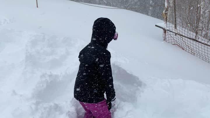 髙津奈々のインスタグラム：「これが志賀のパウダー❄️🤍  息できなくなりそう🏊‍♀️深すぎる埋まる  #patagonia #powslayer #powdersnow #japow #shigakogen #swimmergirl #swimmer #swimmerlife #skiergirl #統一感のないナナライフ」