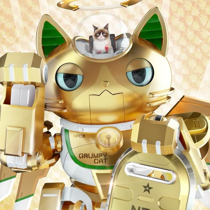 Grumpy Catのインスタグラム：「We are less than 11 hours away from Grumpy's first NFC-NEKO collection on @binancenfts with @TaikoNFT!   We are also partnering with the no-kill shelter chanceshelter.org for this launch to provide compassionate care for abandoned pets!  Launch Details - Jan 7th 11am UTC on Binance NFT  Link in Bio!  https://www.binance.com/en/nft/mystery-box/detail?number=1&productId=175195808495313920」