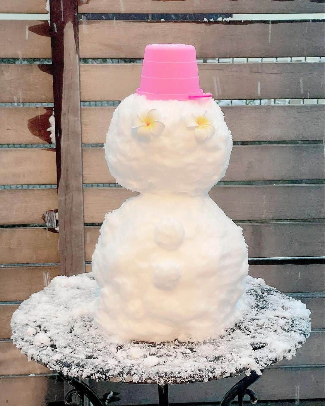 吉永愛さんのインスタグラム写真 - (吉永愛Instagram)「やっぱり、みんなも作ったかな⛄️ まるくんは、初雪で最初は戸惑ってだけど、、ブルブル震えながらも雪を体験❄️冷たかったね〜🤣 ゆきちゃんは楽しそうだった❤️ #雪 #雪だるま #白柴 #チワワ」1月7日 9時09分 - a.i.yy
