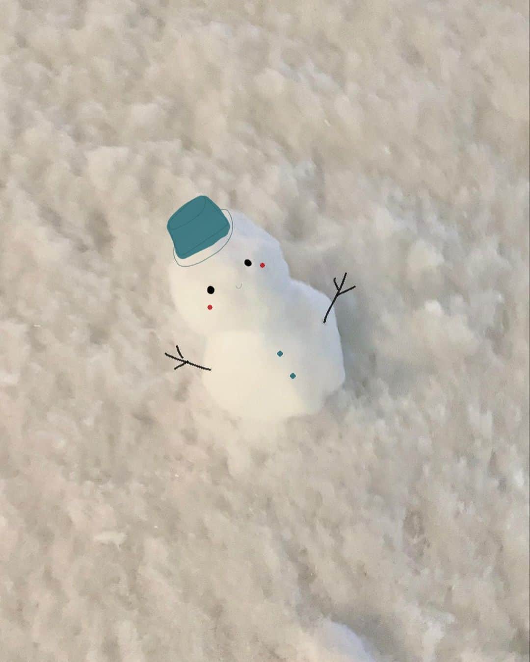 野崎奈菜さんのインスタグラム写真 - (野崎奈菜Instagram)「45秒作成雪だるま⛄️」1月7日 10時37分 - lunelapin_na7