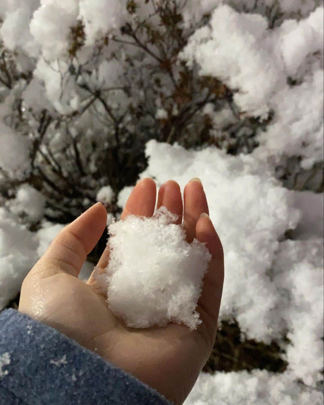 野崎奈菜さんのインスタグラム写真 - (野崎奈菜Instagram)「45秒作成雪だるま⛄️」1月7日 10時37分 - lunelapin_na7