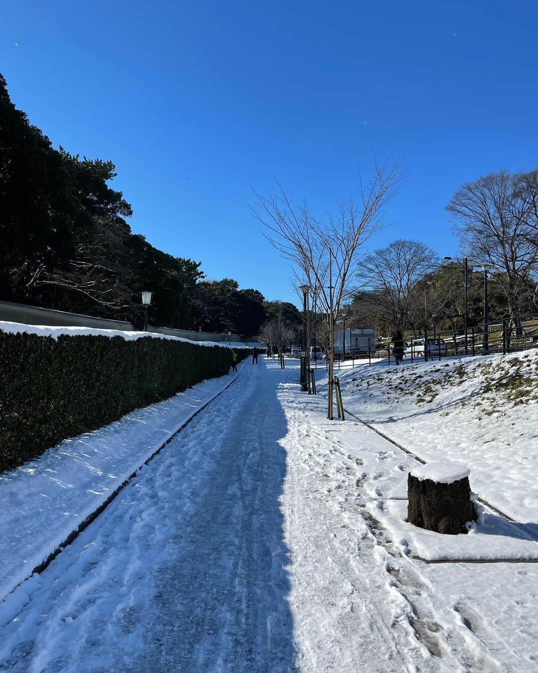 米澤有さんのインスタグラム写真 - (米澤有Instagram)「皇居ランに行こうと思ったら、皇居は雪でした❄️☃️ 綺麗な景色に見惚れつつ、足元要注意でした🙇‍♀️ 皆さま足元にお気をつけてお過ごしください🥺  #皇居 #皇居ラン #雪景色 #防寒  #冬のランニング  #冬のランニングウェア教えてほしいです」1月7日 12時25分 - yu.u.yonezawa
