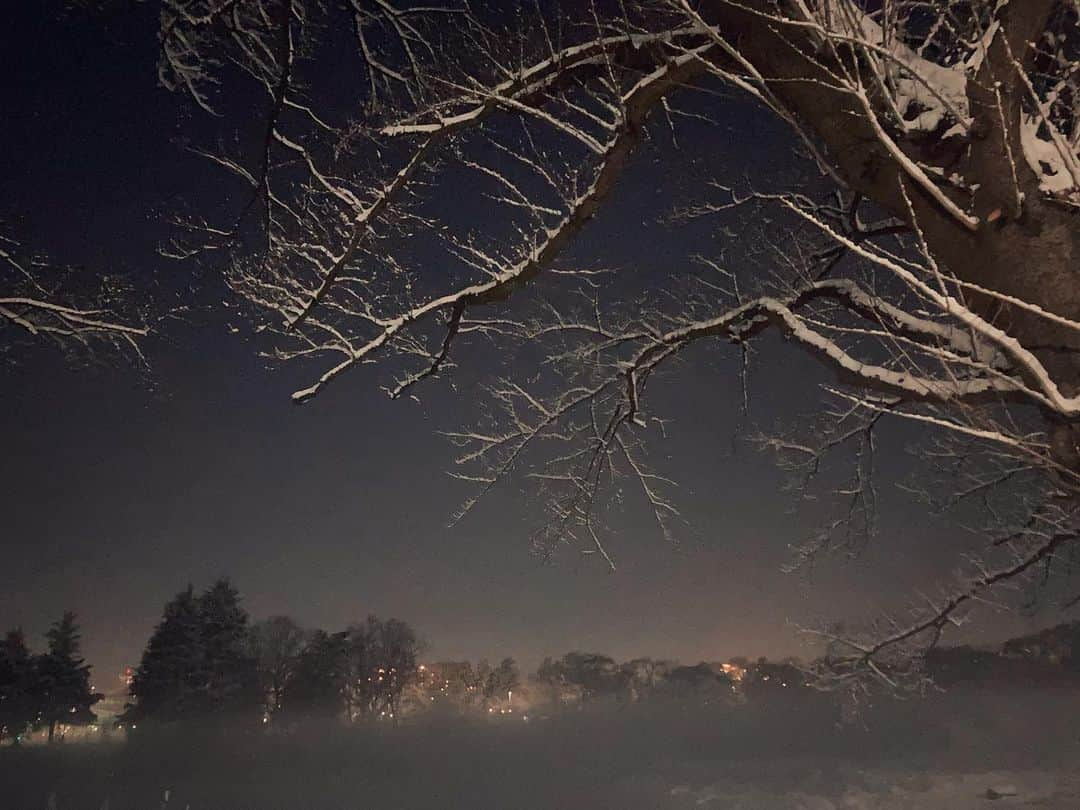 井俣太良さんのインスタグラム写真 - (井俣太良Instagram)「演劇の毛利さんvol.1『天使は桜に舞い降りて』の初日が無事に幕を開けた。劇場を出て世界が一変していて、びっくり‼️  ゲネプロと初日公演で、疲れ果てていたけれど、娘が雪景色に大興奮していたので、家族で深夜に公園へ。  雪の中を走り廻る娘を見ながら、 早く帰って寝たいなーと思っていた自分が情けなくなりました。 こうゆう抑え切れぬ衝動こそ、創作の源泉。キンキンに冷えた寒空の中、メラメラとした想いが湧き上がってきました。  もう若者ではなくなったけれど、だからこそ若い人達からは受け取るものが、多いなぁと思う日々です。  桜の木を見上げると まさに『天使は桜に舞い降りて』 の世界観の、荒廃して殺伐とした雰囲気が出ていて、思わず写真に収めてました。またみんなで同じ桜の木下に集まれるように、しっかりと祈念を残してきました。  さて今日も更なる発見を求めて参りましょう。  #演劇の毛利さん　　 #天使は桜に舞い降りて」1月7日 13時09分 - tairaimata