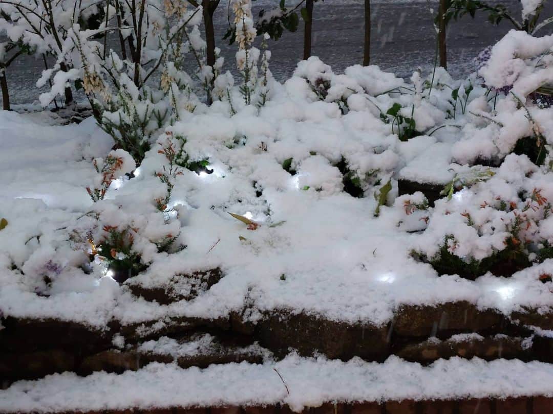丸本凛さんのインスタグラム写真 - (丸本凛Instagram)「はしゃいでたら盛大に転けました笑 地面が凍っていたり、まだまだ寒いので皆さんお気をつけください！」1月7日 13時33分 - rinmarumoto