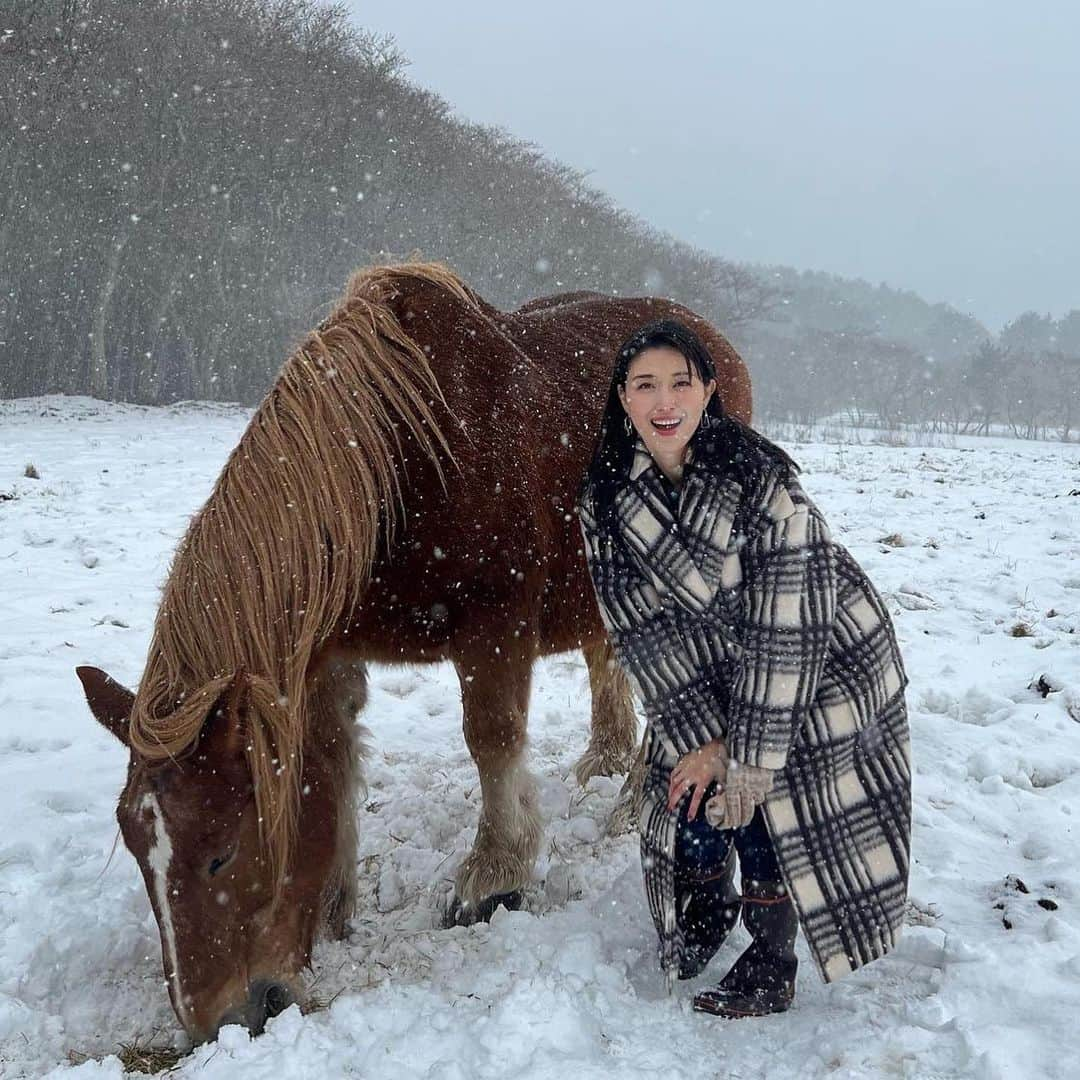 橋本マナミさんのインスタグラム写真 - (橋本マナミInstagram)「#青森県　#下北半島　#東通村　にて　#寒立馬　を見に行き、漁師さんのところに行って　#水だこ　#アワビのフライ　#アワビの踊り焼き　をいただいて😍 #松楽　さんに　#ヒラメ刺身重　を食べに行きました(^｡^) 漁師飯はなかなか食べられないから感動🥺ヒラメ刺身重も彩り綺麗で味も美味しく大満足😘  #下北半島魅力発信事業 #東奥日報」1月7日 14時03分 - manami84808