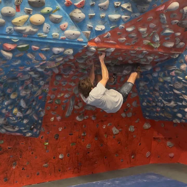 ダニエル・ウッズのインスタグラム：「not much outdoor climbing for me as of l8. Motivation lies within a plethora of greasy plastic grips called cats. It’s been a minute since I have spent serious time here. This was my go to gym back in the day. Place is filled with some of the hardest indoor problems out there.  Chris Danielson set a few bounty boulders that are pretty fucked off hard and rewarded with some cash money to whoever does them first.  I was able to do one of them (vid). Took a few days of learning the moves to put it together. Proposed grade v14? Got that 💯💰」