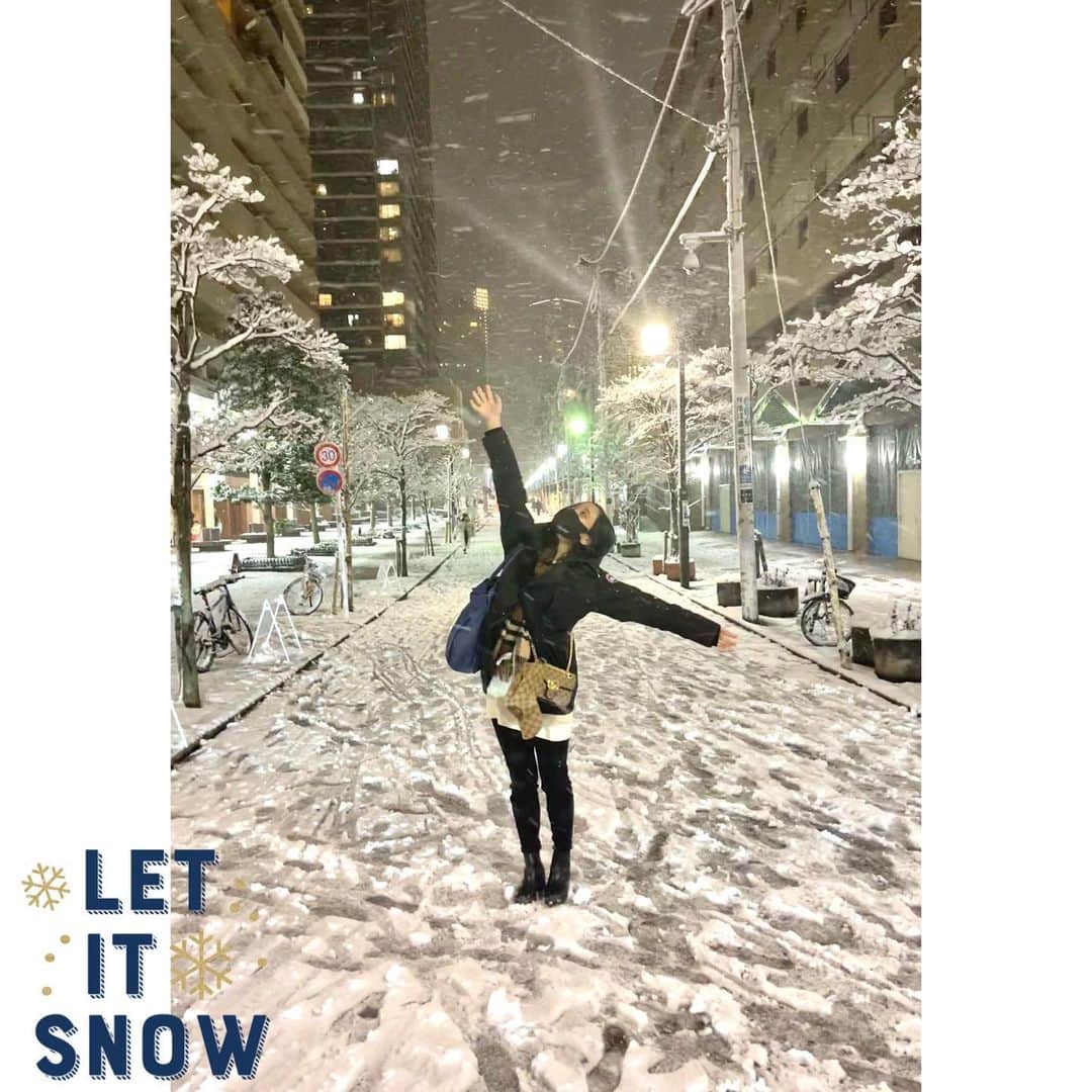 脊山麻理子さんのインスタグラム写真 - (脊山麻理子Instagram)「東京が雪国みたいになったあ☃️ 足元にお気をつけ下さい❄︎ #雪 #東京の雪 #雪合戦 #東京 #snow #雪の思い出 #凍結注意 #雪国 #猫はこたつで丸くなる #雪やこんこん」1月7日 17時49分 - mariko_seyama_milkpon