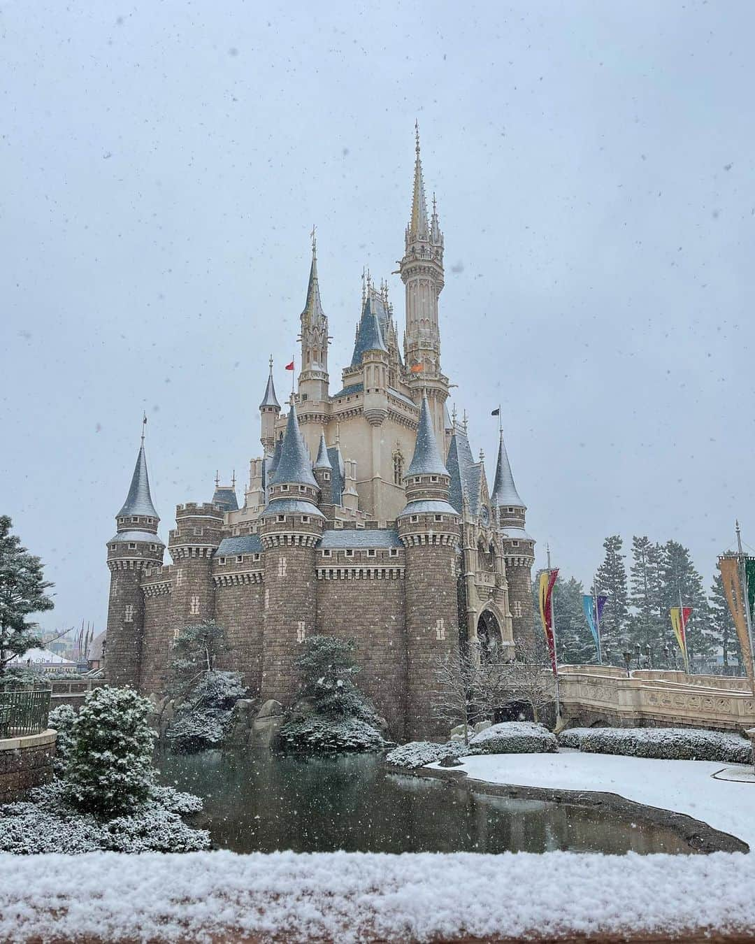 関根ささらさんのインスタグラム写真 - (関根ささらInstagram)「❄️FROZEN❄️ . . リアル"frozen"だった昨日のパークの色んな景色をインスタにも♡ (あまりの寒さに携帯触っていられなくてまともな写真がないのですがお許しを…🙇🏻‍♀️) . . めちゃくちゃ寒かったーーー！！！！！ けどこんな真っ白になるパークって、世界でも日本とパリしかないのでは？！と思ったら凄くレアな日に遭遇できた気がして気分が上がりました🥰👏🏻 . . 12/26から発売してる『#アナと雪の女王』の #ポップコーンバケット 🍿❄️💙めちゃくちゃ可愛い〜〜！！！昨日買う予定じゃなかったのだけど、想定外の雪に遭遇したのでこの写真を撮るために購入しました♡今度またアナ雪バウンドする❄️ . . #ディズニーポップコーンバケット #ディズニー写真部 #雪景色 #雪 #雪だるまつくろう #snowday #snowing #disney #disneypark #disneyparks #tokyodisney #tokyodisneyland #disneyland #tokyodisneyresort #tdr #tdl #アナ雪 #anna #elsa #olaf #オラフ #エルサ #アナ」1月7日 18時58分 - sasarasekine