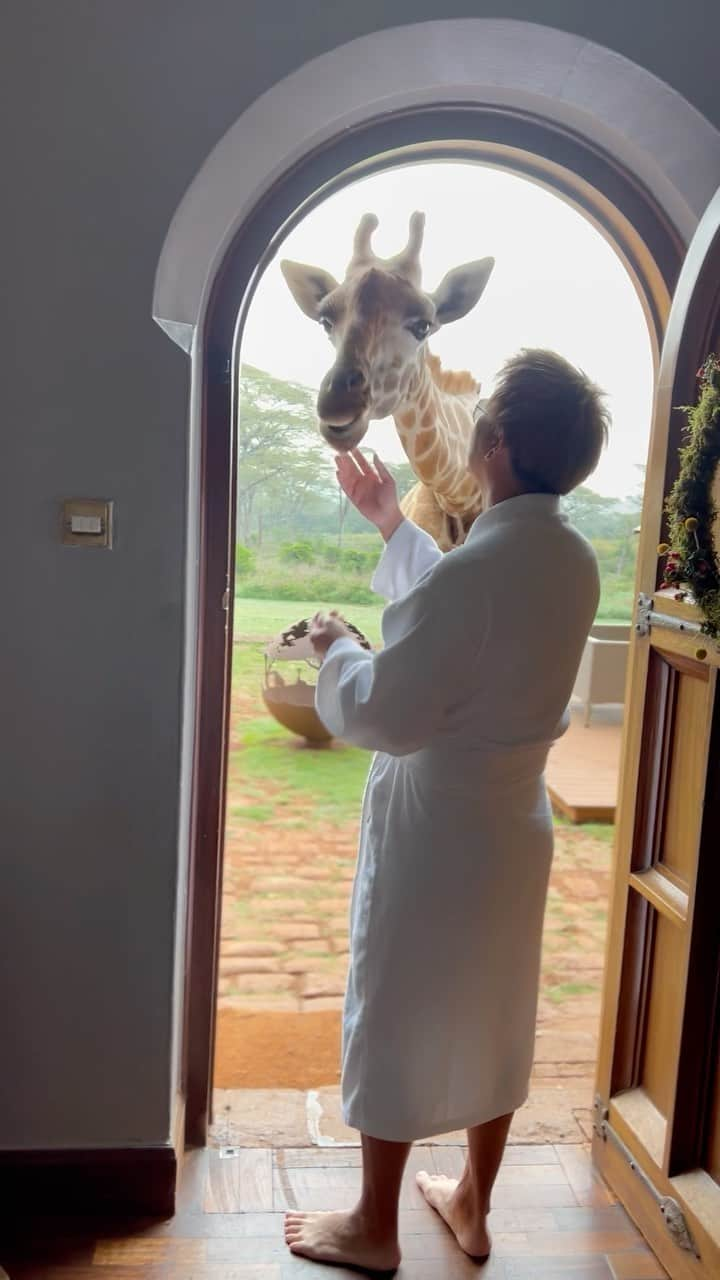 𝐂𝐇𝐈𝐊𝐀𝐑𝐀𝐏𝐚𝐫𝐭𝐲𝐊𝐢𝐧𝐠のインスタグラム：「🦒 子供の頃、初めて行った 動物園での興奮も こんな感じだったのかな🦒  #大人の #どうぶつの森  #きりんさんが好きです  #動物園  #ジラフ  #trip  #giraffe  #zoo」