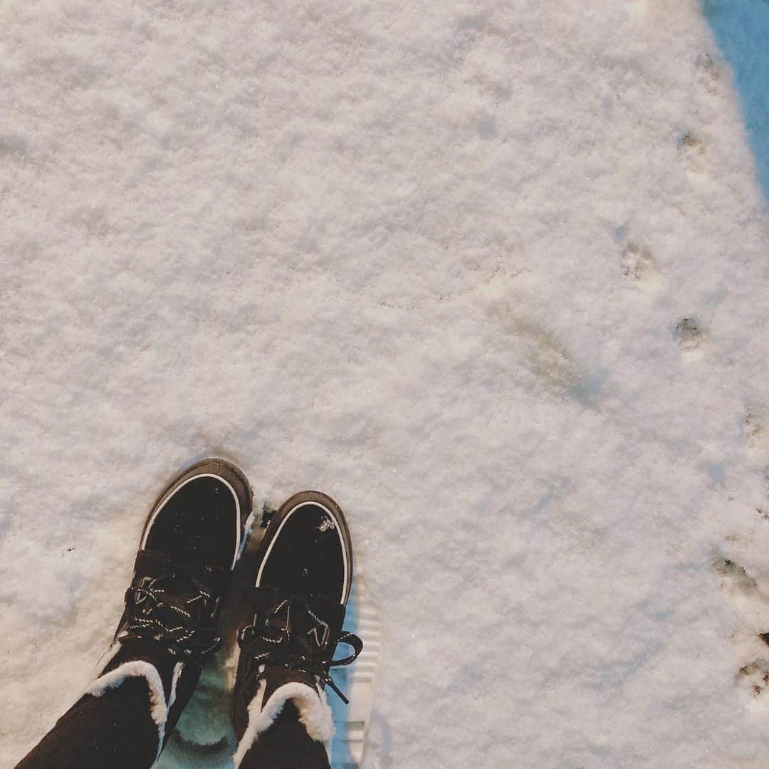 石川彩夏さんのインスタグラム写真 - (石川彩夏Instagram)「今週も皆様お疲れ様でした☺️✨ * 関東(東京)では久しぶりに雪❄️が降って いつもと違う景色に心踊りました(* ॑꒳ ॑* )⋆* そして雪を楽しむ子供たち声は 外は寒くても心があたたまりました〜☺️💓 * 1日たった今でも、雪が残っていて⛄️ まだ路面凍結している所があったので💦 引続きペンギン🐧あやみぃで歩きます🤔 * 氷があるからか❄️雪が舞っていた昨日よりも寒かった気がしますΣ(･ω･ﾉ)ﾉ💦 *」1月7日 19時43分 - ayaka0711zi