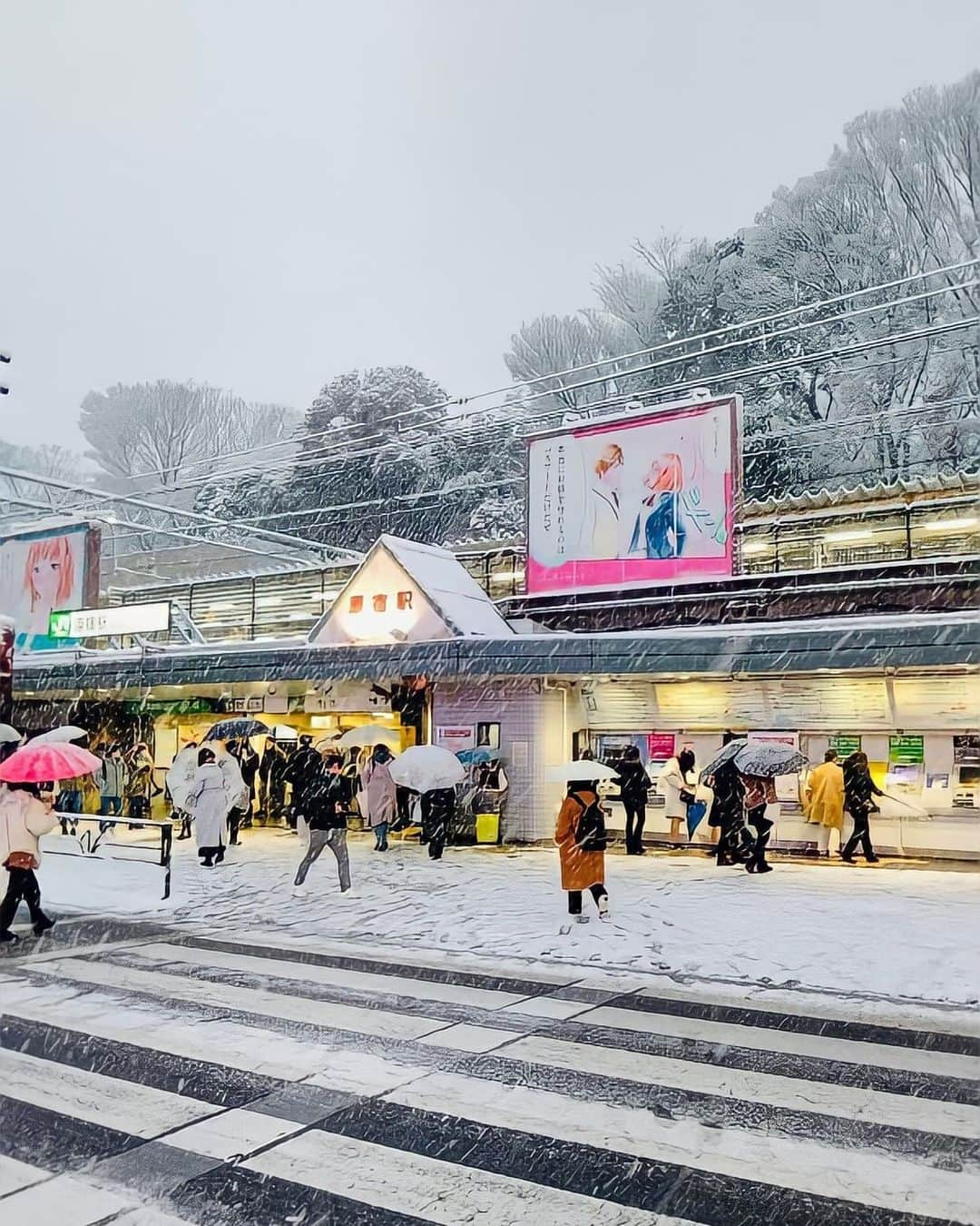 杉原杏璃さんのインスタグラム写真 - (杉原杏璃Instagram)「デジャヴな日！  昨日は雪凄かったですね❄️  雪が積もるような地域で育っていないのでちょっとの積雪ですぐ写真撮るし🤳w 寒いし危ないのに雪が積もってるのを見ると❄️ 無駄にテンションが上がってしまうんですね  そして。。。今日は七草粥の日✨　　 スーパーで散々どーしようか考えたんですが お雑煮もおせちも食べてないし。。。 お正月だからといっていつもと全く変わらない食生活だったので、 お粥なんて必要ないじゃーーーーーん と思ってやめました✋  皆さんは今日あたり胃を休めるための消化に良い食事にしてますか？  私は。。。今夜は美味しい自然薯をいただいたのと まだまだお蕎麦が残っているので✋ 大晦日の年越しを再びやりたいと思いますw  デジャヴな写真w  #グラビア#アイドル#グラドル#グラビアアイドル#anrisugihara#sugiharaanri#杉原杏璃#デジャブ#大雪#デジャヴ」1月7日 20時41分 - anri.sugihara.anri