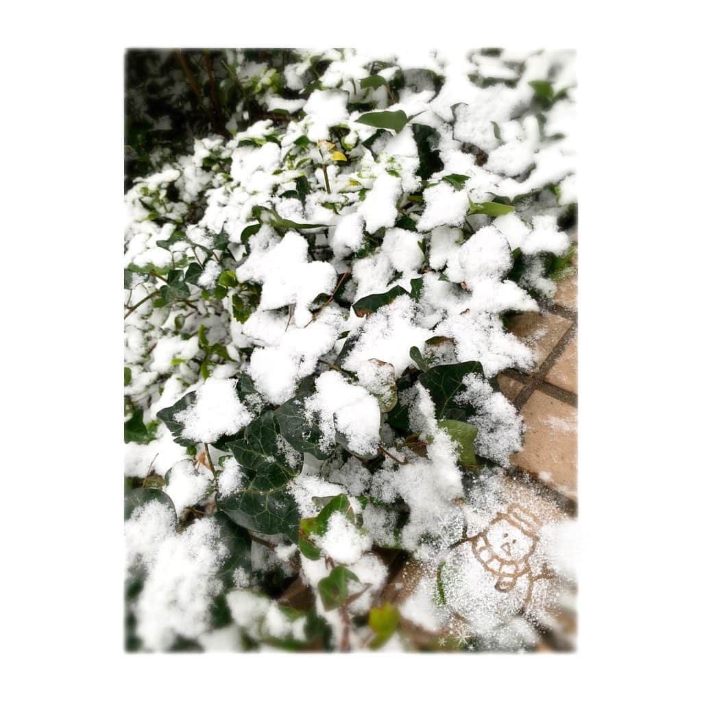 のインスタグラム：「2022年もあっという間に7日目 昨年中はありがとうございました🍀 ❄︎ 大晦日は松ケンサンバで2021年の仕事納めをさせていただきました^ ^ 今年も自分のペースで心と身体を動かしていけたらと思います🍀 ❄︎ 2022年もよろしくお願いします ❄︎ 七草粥の日に無病息災を願って 皆様にとって幸多き１年になりますように  #雪 #嬉しい #足元注意 #松ケンサンバ2 の力は凄い！ #良いとしになりますように #今年もよろしくお願いします」