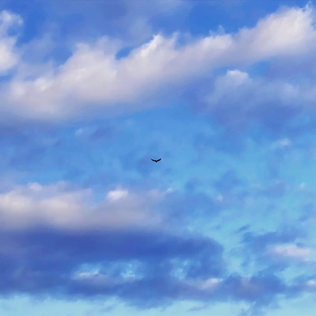 sioneのインスタグラム：「#sky」