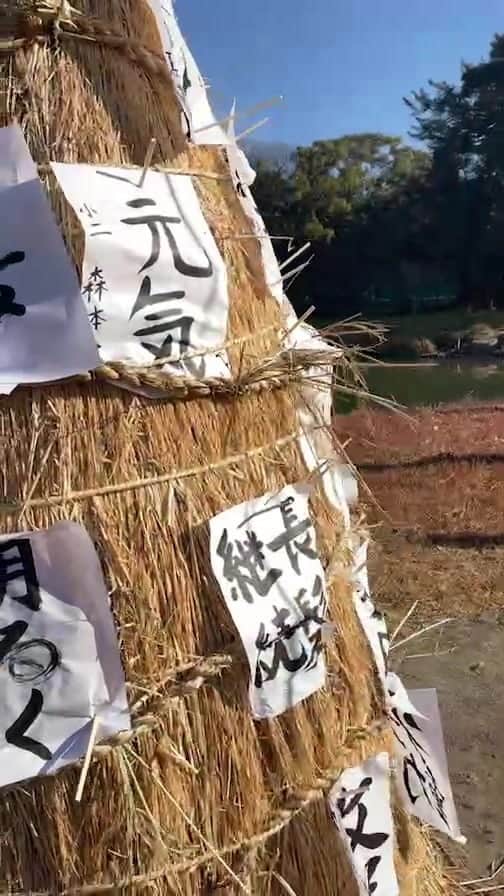 のインスタグラム：「無病息災を願います。」