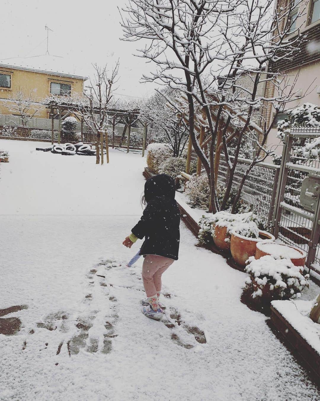 八木田麻衣さんのインスタグラム写真 - (八木田麻衣Instagram)「本年もよろしくお願いします。  先日の雪にはビックリ。 寒さで震えましたが、元気な人は元気に走り回っておりました。細胞の若さかしら。。 。。。うらまし。。」1月8日 11時04分 - yagitamai