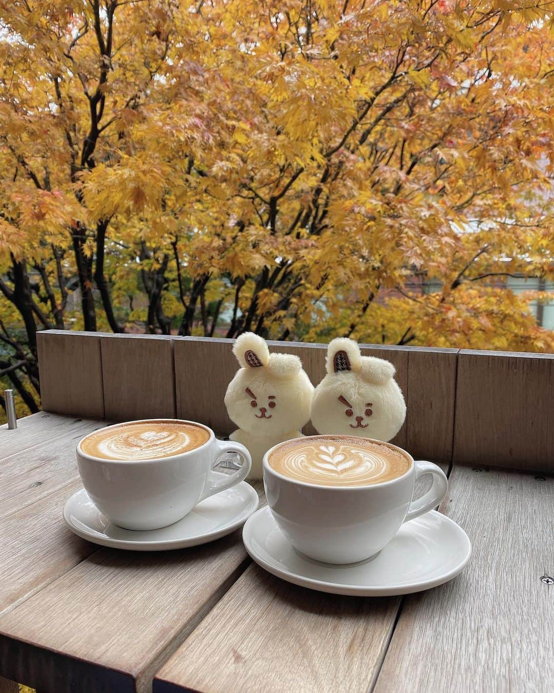 haruru0724さんのインスタグラム写真 - (haruru0724Instagram)「. ここのブルーボトルが好き💙 . . . #bluebottlecoffee #bluebottle #ブルーボトルコーヒー #ブルーボトル #ブルーボトルコーヒー青山 #原宿カフェ #表参道カフェ #明治神宮前カフェ #原宿グルメ #表参道グルメ #原宿ランチ #表参道ランチ #カフェラテ #東京カフェ #カフェ #カフェ巡り #カフェ部 #カフェ好きな人と繋がりたい #カフェ活 #カフェスタグラム #おしゃれカフェ #お洒落カフェ #アミ活 #グクペン #카페스타그램 #예쁜카페 #haruru0724_cafe」1月8日 10時00分 - haruru0724