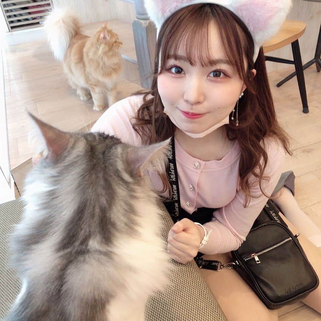 夏井さらのグルメインスタ