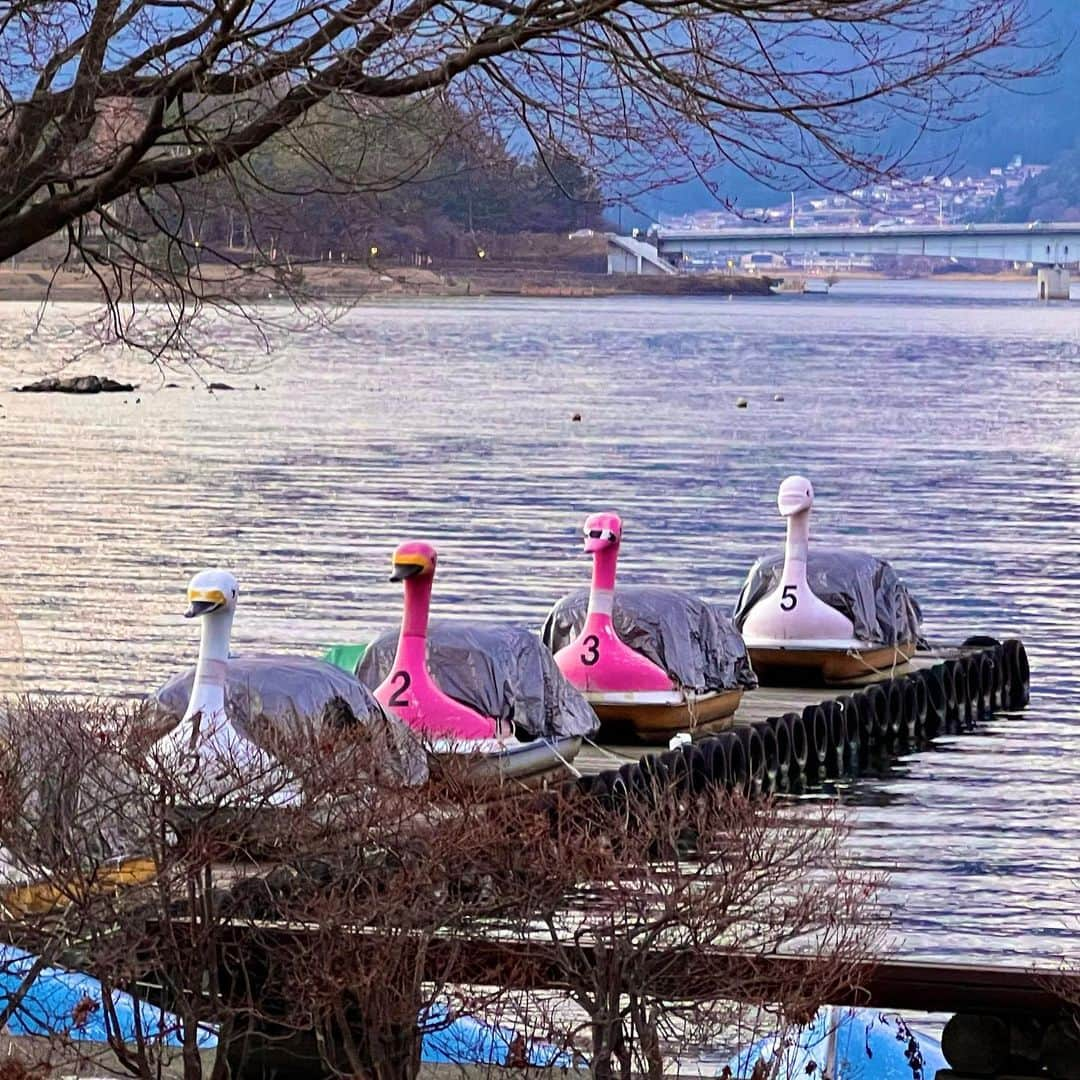 杉山佳那恵さんのインスタグラム写真 - (杉山佳那恵Instagram)「富士山を見に温泉に やってきました😛✌️  めっちゃ綺麗な景色と 美味しいごはんに癒されたっ✨  素敵な旅をありがとうー💗  #富士山#富士河口湖#温泉#のんびり旅」1月8日 21時01分 - kanaxxy_0421