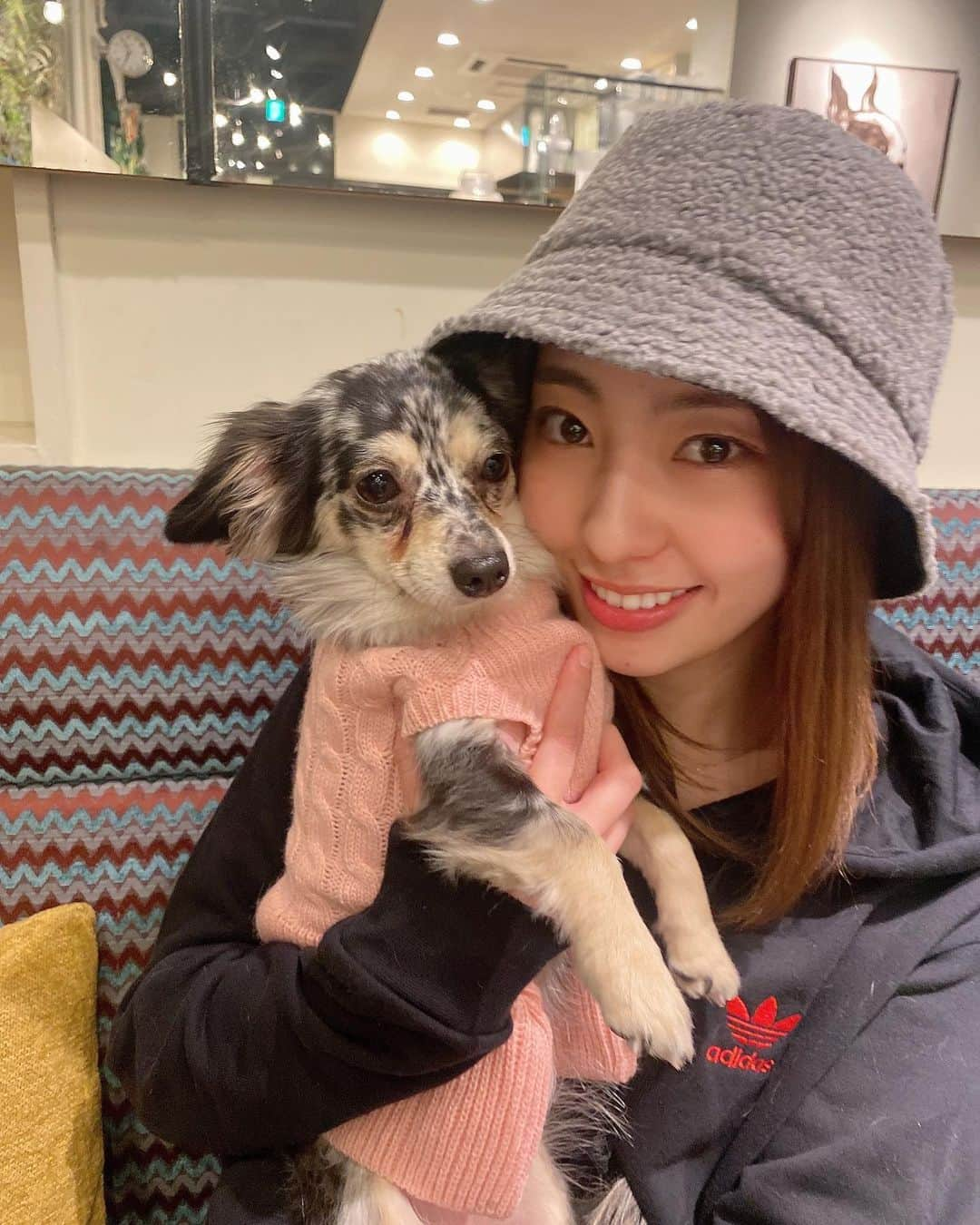 藤江れいなさんのインスタグラム写真 - (藤江れいなInstagram)「❤︎ ・ ・ 🐕▶︎ @ane.love0328   #チワックス　#シルバーダップル」1月8日 20時30分 - 01nyan0201