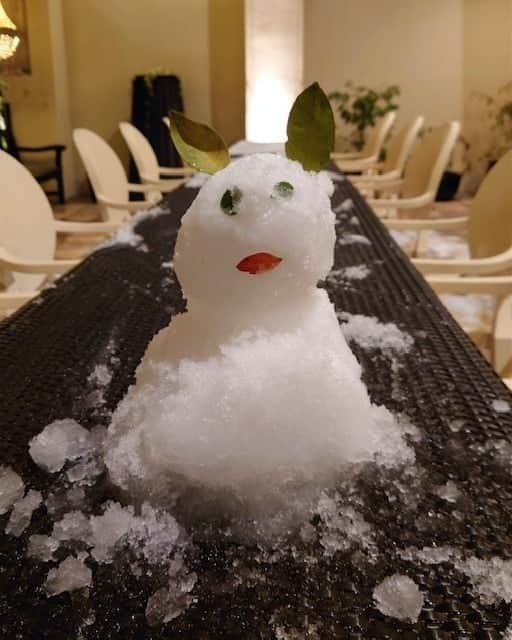 大地真央さんのインスタグラム写真 - (大地真央Instagram)「昨夜 凍りかけた雪で「冷た〜い❄」と言いながら ☃️雪だるま☃️を作ってくれました＼(^o^)／ 耳は🍋目は🌹DAICHIMAO 口は🫐で… 癒されたー🥲感謝❣  #雪だるま ☃️ #初雪 #DAICHIMAO 🌹 #薔薇 🌹 #四季咲き #レモン 🍋 #ブルーベリー 🫐 #テラス 🌿☘ #笑おう#免疫力アップ #森田恭通 #作った人☃️ #yasumichimorita #大地真央 #写した人📱 #MAODAICHI」1月8日 12時30分 - daichimao_official