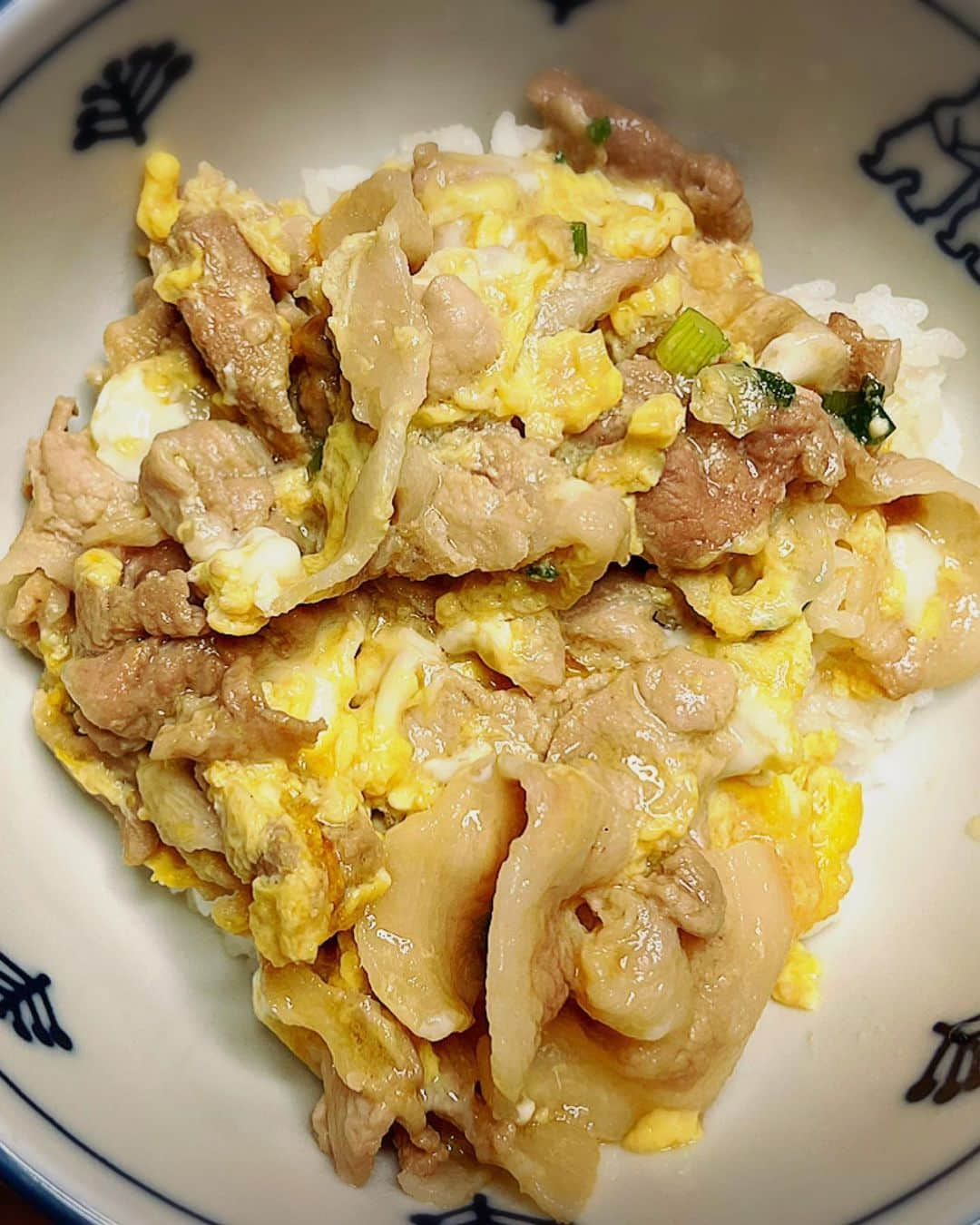 堂真理子さんのインスタグラム写真 - (堂真理子Instagram)「豚こま丼、いかがでしたか？？油でネギを焼くことによって、うま味もアップ✨ ふわふわの卵でとじたら、あっという間に完成です♫ どんぶりだしは、どんな丼にも使えるので、重宝しますね🥰 寒い日にぴったりのレシピでした❣️   #おかずのクッキング #料理 #おかず #レシピ #丼 #豚こま丼  #どんぶり  #土井善晴 先生  #テレビ朝日 #堂真理子 #アナウンサー」1月8日 12時57分 - mariko_do