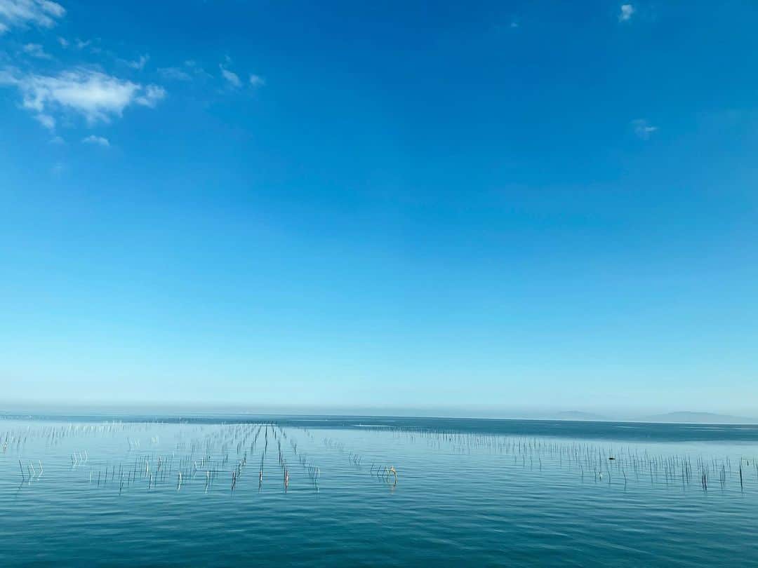 三浦瑠麗さんのインスタグラム写真 - (三浦瑠麗Instagram)「美しい内海。 お日さまがぽかぽかと照らす海面には、水鳥たちが。牡蠣の養殖の杭が並ぶ。」1月8日 14時55分 - lullymiura