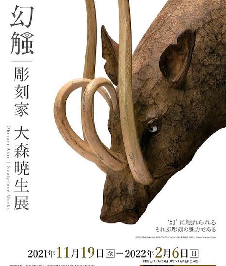 はしもとみおのインスタグラム：「彫刻家　大森暁生さん　@akioohmori の展覧会が 三重県　パラミタミュージアムで開催中です。  大森さんは、彫刻界の兄と慕う彫刻家で、私が人生で初めて買った彫刻が、大森さんのツバメの作品。 鏡に映っていて飛んでるみたいで。  ツバメ　という歌が好きだった亡くなった親友を毎日思い出すためにアトリエの入り口に大切に飾っています。 大森さんが彫刻家としてずっと先を歩いてくれているから、私も今でもなんとか彫刻家を続けてこられた気がします。 三重県の北部で見られるなんて、、うちから最寄りの美術館での嬉しすぎる開催。1990年代の作品たち、初めて観た生き物たちも多くて、感動しっぱなしでした。。特に重厚感とディテールをみんなにも見てほしい。  最後の写真はアトリエに遊びに行かせてもらった2年前のもの。また会えますように！  #大森暁生#akiooomori #パラミタミュージアム」
