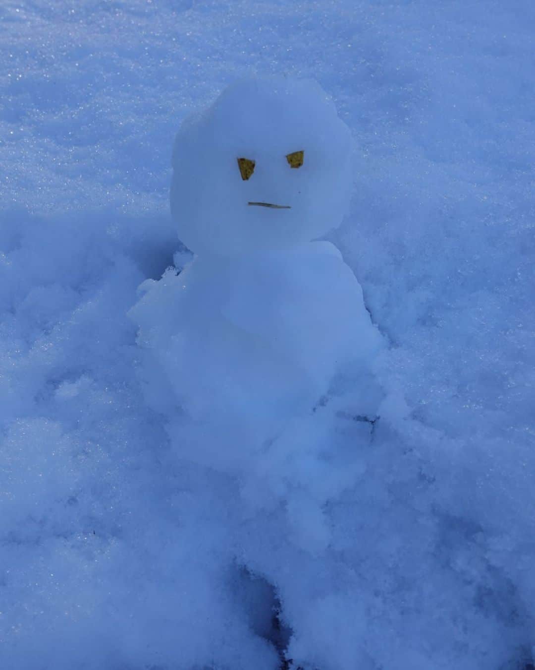林美桜さんのインスタグラム写真 - (林美桜Instagram)「. 怒ってるかもしれない雪だるまできました。 #有言実行 🙋‍♀️ #雪だるま #昨日」1月8日 22時06分 - miou0hayashi
