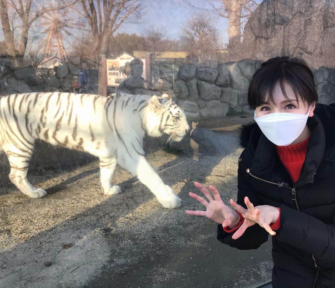 横山ルリカのインスタグラム