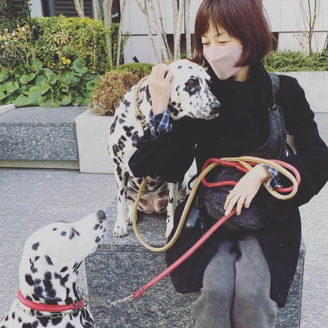 高岡早紀 さんのインスタグラム写真 - (高岡早紀 Instagram)「今日はポカポカの日だったね。 このまま、暖かくなっちゃえばいいのにな… なんて。」1月9日 16時08分 - saki_takaoka