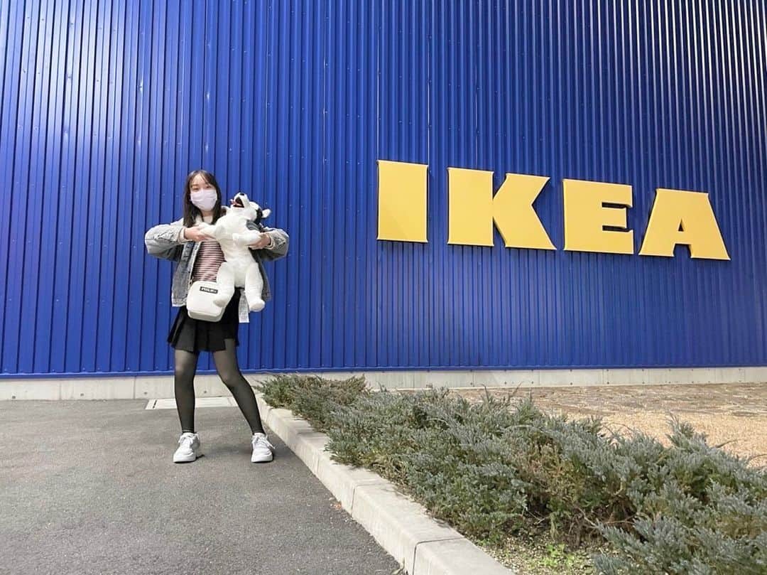 太田雫さんのインスタグラム写真 - (太田雫Instagram)「・ ちょっと前にIKEAに行きました🌼 ・ ・ ハスキーちゃん連れて帰ったよ〜(ᐡ •̥  ̫ •̥ ᐡ)‬🐾 ・ ・ ・ #ニコラ#太田雫 #IKEA#ぬいぐるみ#シベリアンハスキー#いぬ#かわいい」1月9日 18時23分 - _shizukuota
