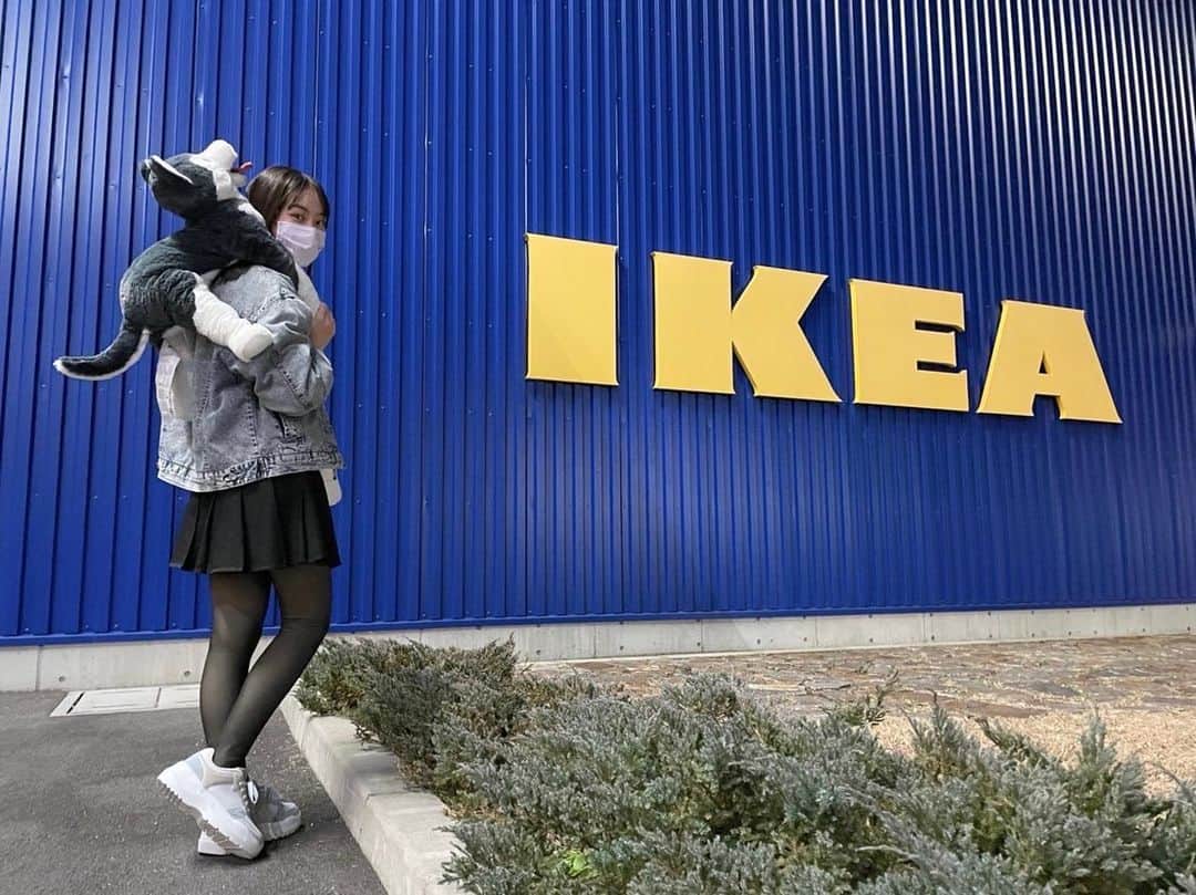太田雫さんのインスタグラム写真 - (太田雫Instagram)「・ ちょっと前にIKEAに行きました🌼 ・ ・ ハスキーちゃん連れて帰ったよ〜(ᐡ •̥  ̫ •̥ ᐡ)‬🐾 ・ ・ ・ #ニコラ#太田雫 #IKEA#ぬいぐるみ#シベリアンハスキー#いぬ#かわいい」1月9日 18時23分 - _shizukuota