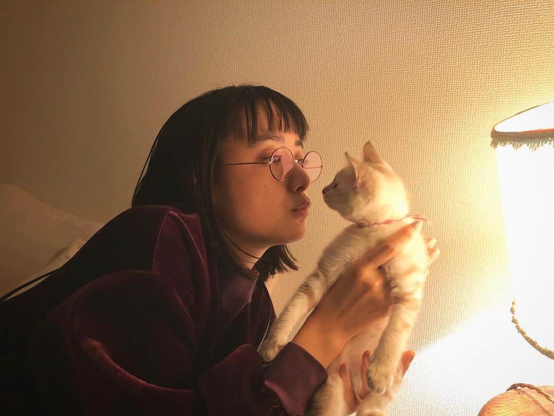 山本美月さんのインスタグラム写真 - (山本美月Instagram)「にゃんこに会いに。 アレルギー対策万全で。  猫アレルギーなのに、猫好き…… なんということ……  写真撮る時だけマスク外しました(´･ ･`)  可愛かった…」1月9日 19時11分 - mizuki_yamamoto_official