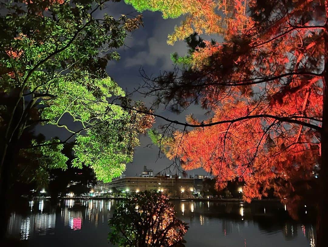 中澤裕子さんのインスタグラム写真 - (中澤裕子Instagram)「・・  福岡にはこんなに素敵な場所があります。  冬限定の光の幻想。  もう少し自由に行き来できるような 冬の季節になったら、是非見ていただきたい風景です。  #福岡 #大濠公園 #ライトアップ」1月9日 20時37分 - yuko_nakazawa_