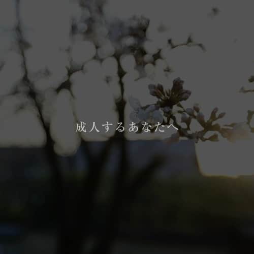 TGOO Officialのインスタグラム