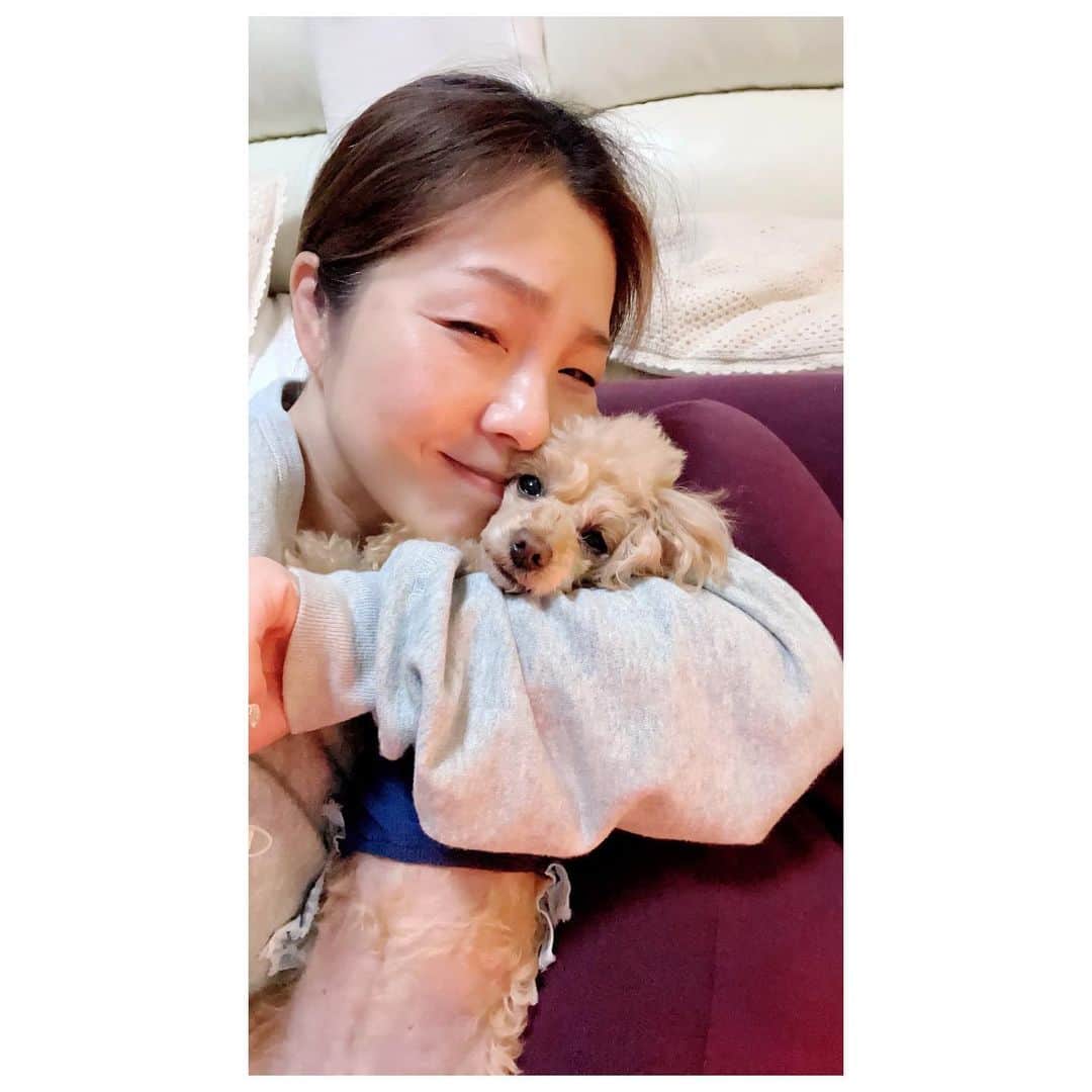 井上貴子のインスタグラム：「おかーさん しつこーーーい  のやつです^ ^  みなさん オミクロン お気をつけてお過ごし下さい  Happyで^ ^  プロフィール画面に記載のURLより 通販サイト「神取屋」に飛べます^ ^  コロナ禍に携わる全てのお仕事の皆様 心から感謝しています 引き続き油断せずお気をつけてお過ごし下さいませ  #井上貴子  #LLPWX #女子プロレス #トイプードル #https://www.youtube.com/c/takacoinoue  #cacatocacat #貴子ちゃんちゅーぶ #YouTubeはじめました #チャンネル登録お願い致します #LLPWX通販サイト神取屋 #感謝 #STOPCOVID19」