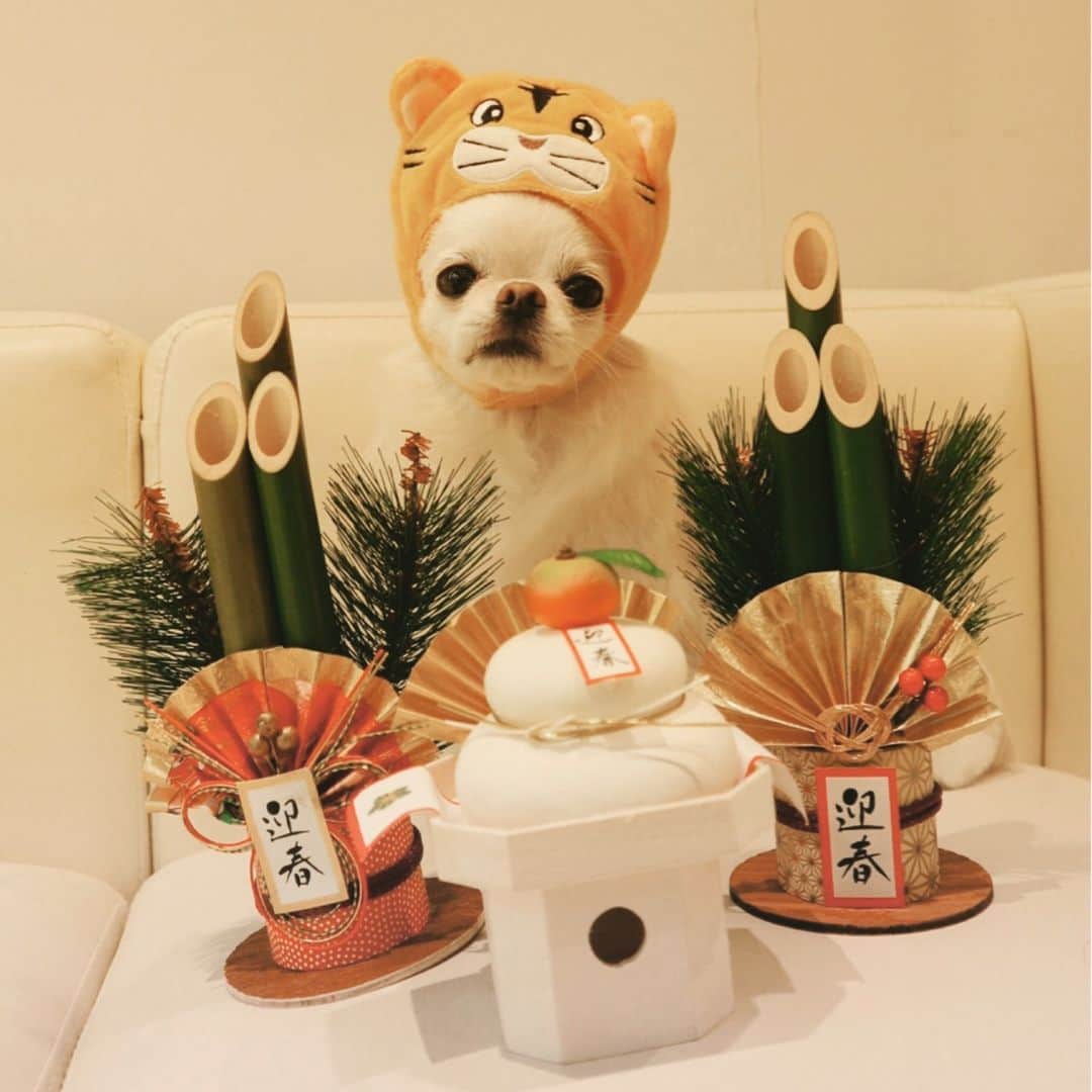 HISASHIのインスタグラム：「あけおめってなに？ ＃テンション爆下がり」