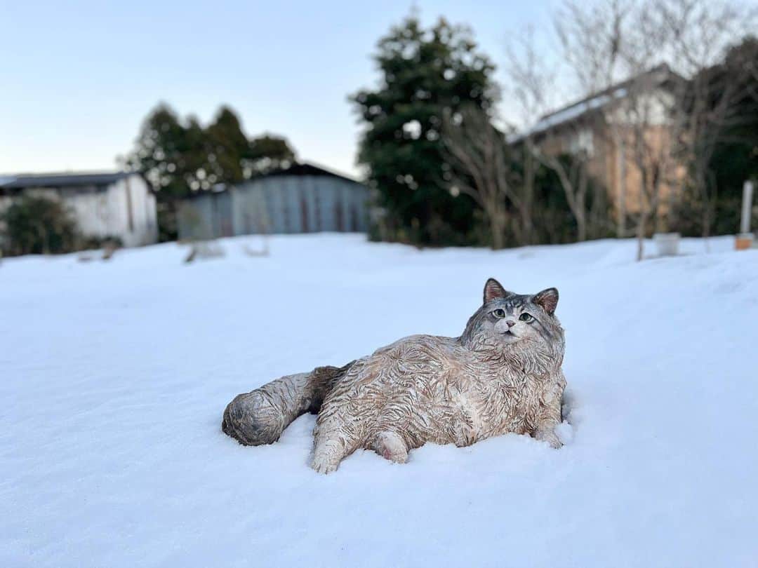 はしもとみおさんのインスタグラム写真 - (はしもとみおInstagram)「モイくんは白銀の世界がよく似合う。  まだまだ溶けない裏庭の雪。 私は写真がよく撮れないので、近くにいい写真を撮ってくれる人がいたらなあといつも思います。彫刻たちと日々の風景。  #近藤モイ#sculpture #woodcarving #woodworking #miohashimoto #cat#catstagram #snow」1月10日 9時56分 - hashimotomio