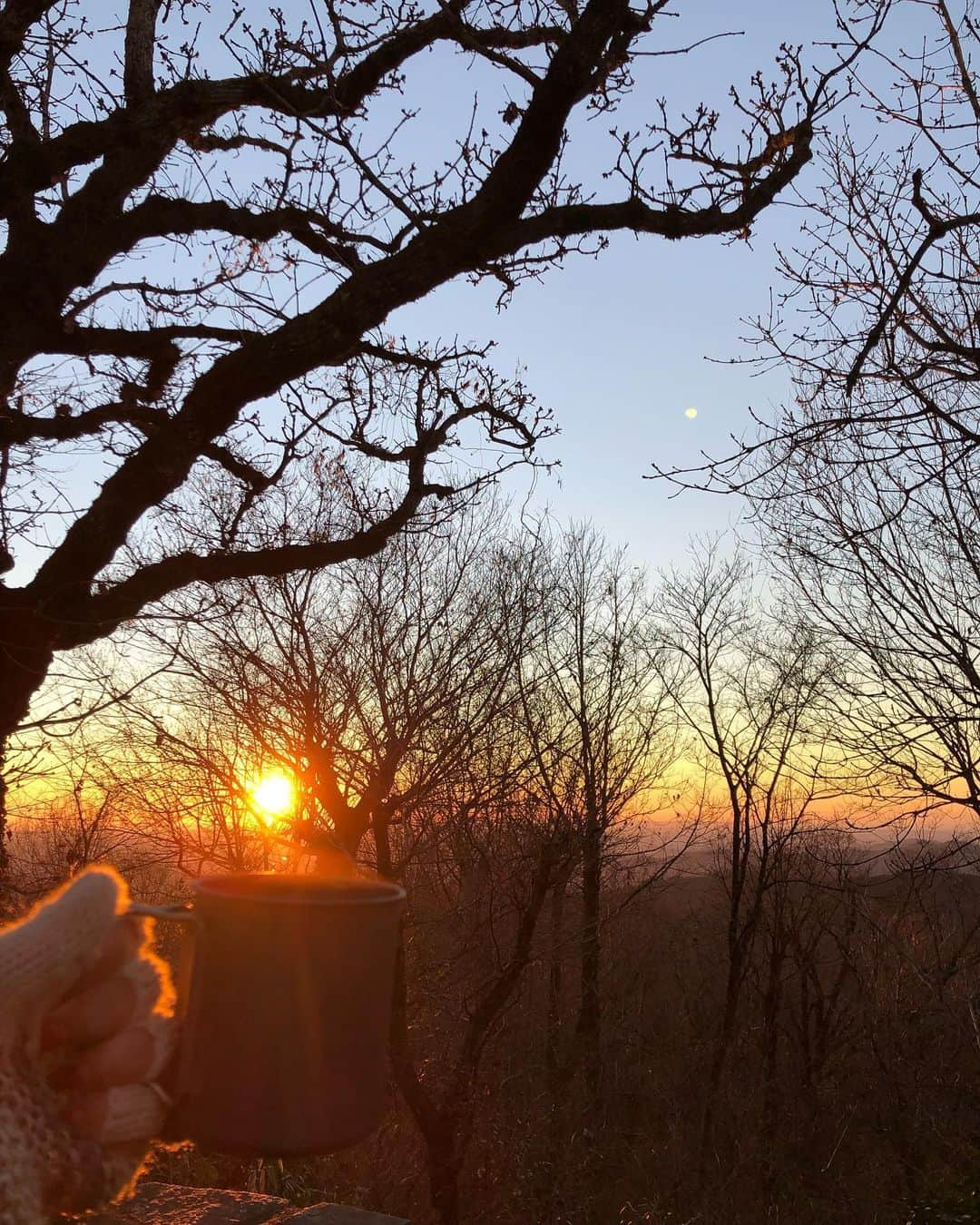 ざわちんのインスタグラム：「皆さん、改めまして 明けましておめでとうございます🎍🌅  昨年も皆さんからの たくさんの愛と応援を 本当にありがとうございました。  今年の目標は しっかりみんなに感謝を込めて 恩返ししていけるように 仕事に再び本気を 出して行こうと思っています！  口だけにならないよう 頑張りたいと思います✨  またみんなに面白がって 見ていただけると存在になれたらなと🔥  今年も何卒こんなやつを 宜しくお願いします🙇‍♀️❤️‍🔥  #新年のご挨拶 #30歳になる年 #気合いだ」