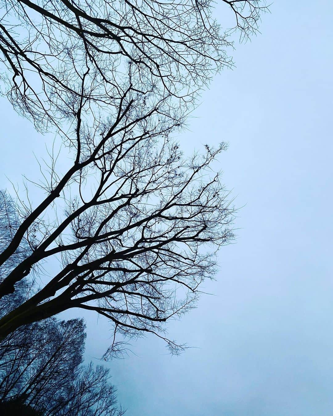 鷲尾伶菜のインスタグラム：「まだ明るくなりきれてない空。 私にとっては珍しいですが おはようございます。笑」