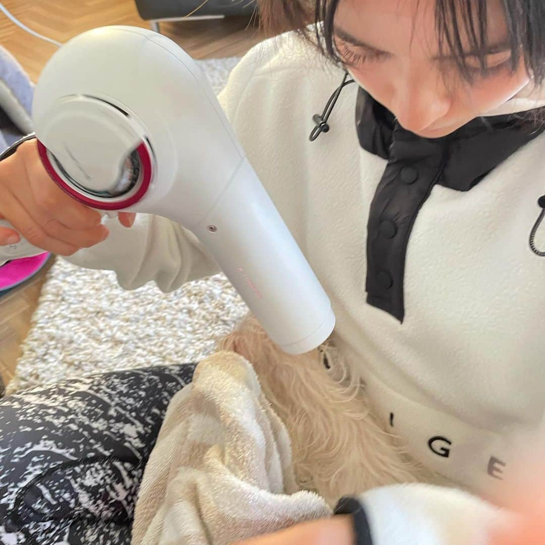 加藤ローサさんのインスタグラム写真 - (加藤ローサInstagram)「子供とワンコにまみれた冬休みが終わりそうです〜明日から新学期！  昨夜、おやすみ〜の時に22番が「明日はおいしいご飯食べようなぁおやすみ〜」と子供達に言っていて。イラつきながらも爆笑してしまいした。今日は頑張るかーと思ったけど頑張れず。今から鰤しゃぶでーす。  今日は街中に新成人の方をお見かけしました〜いいですよね〜新成人の皆様、親御様おめでとうございます☺️」1月10日 18時07分 - kato_rosa_