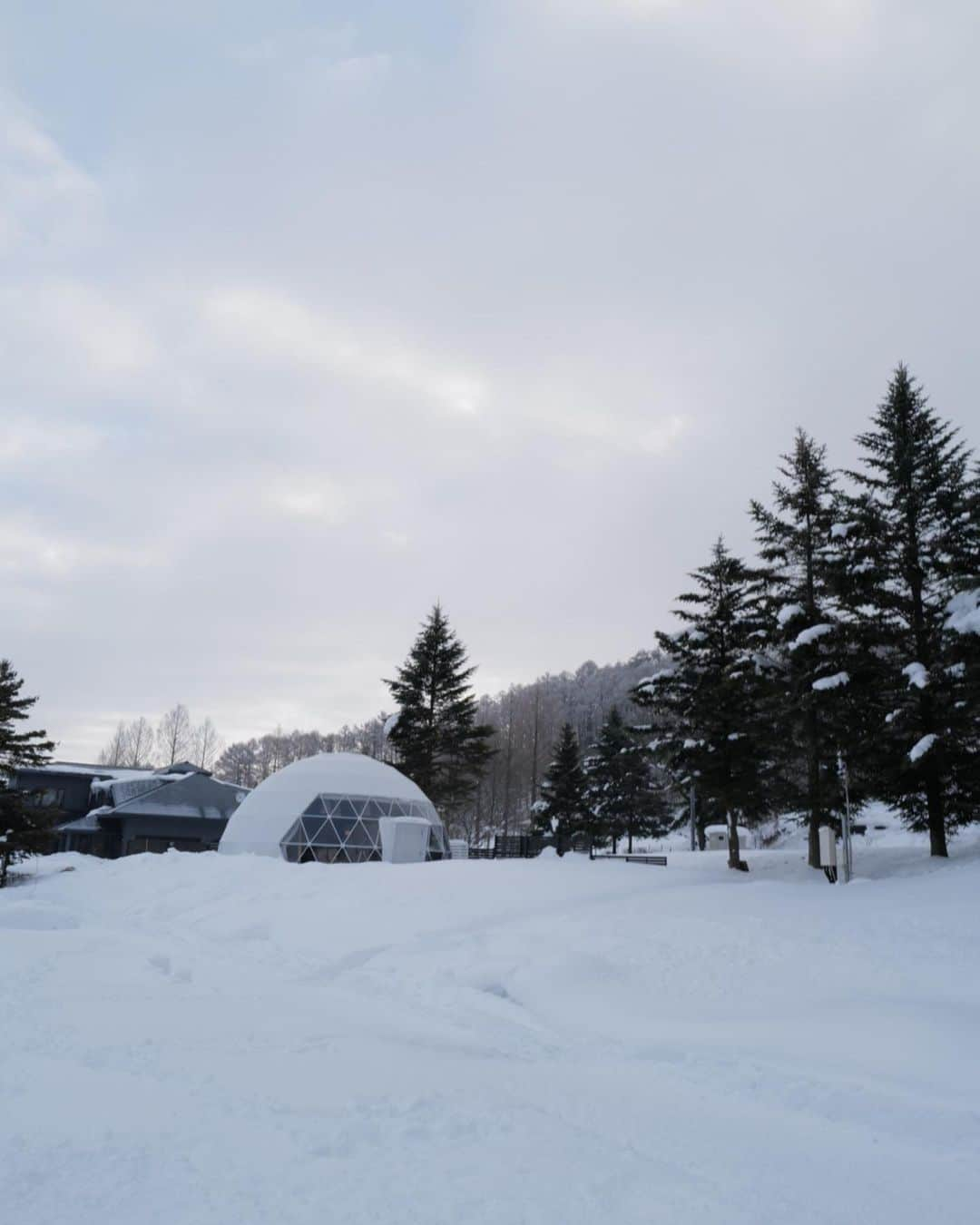 山中美智子さんのインスタグラム写真 - (山中美智子Instagram)「雪山が昨日は霧で全くみえなくて🏔  今日は見えました✨ めちゃくちゃカッコいいよね雪山❄️  手前の真っ平な雪は、湖！！  あと2週間くらいでワカサギ釣りが始まるそうです🤍  それもいいなあ✨  #長野県　#最高」1月10日 19時00分 - alexiastam1988