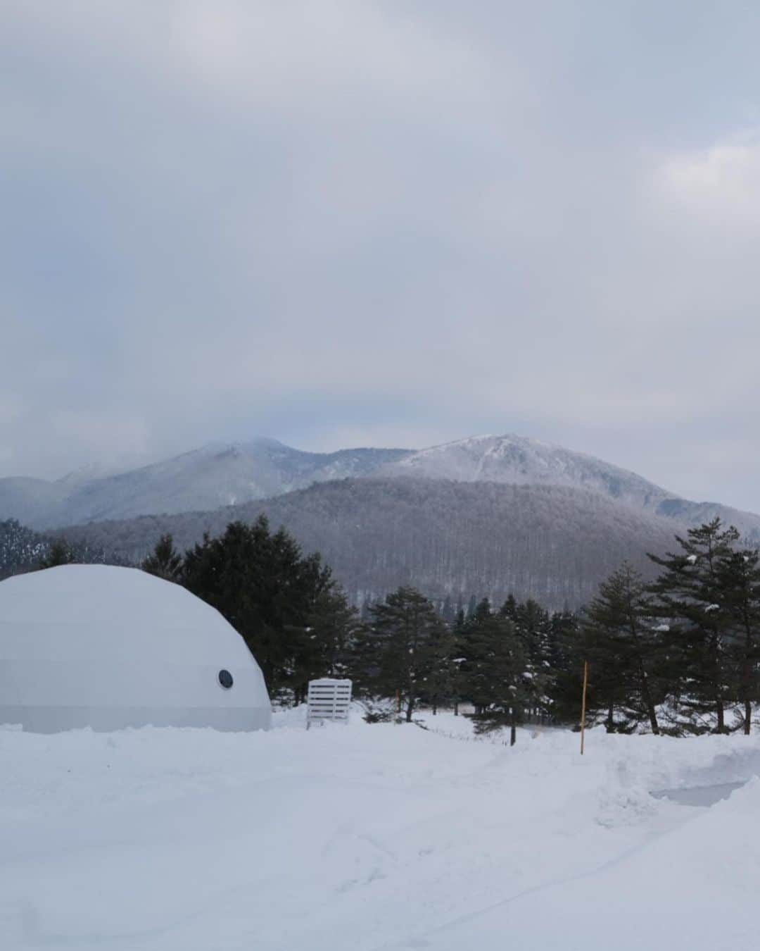 山中美智子さんのインスタグラム写真 - (山中美智子Instagram)「雪山が昨日は霧で全くみえなくて🏔  今日は見えました✨ めちゃくちゃカッコいいよね雪山❄️  手前の真っ平な雪は、湖！！  あと2週間くらいでワカサギ釣りが始まるそうです🤍  それもいいなあ✨  #長野県　#最高」1月10日 19時00分 - alexiastam1988