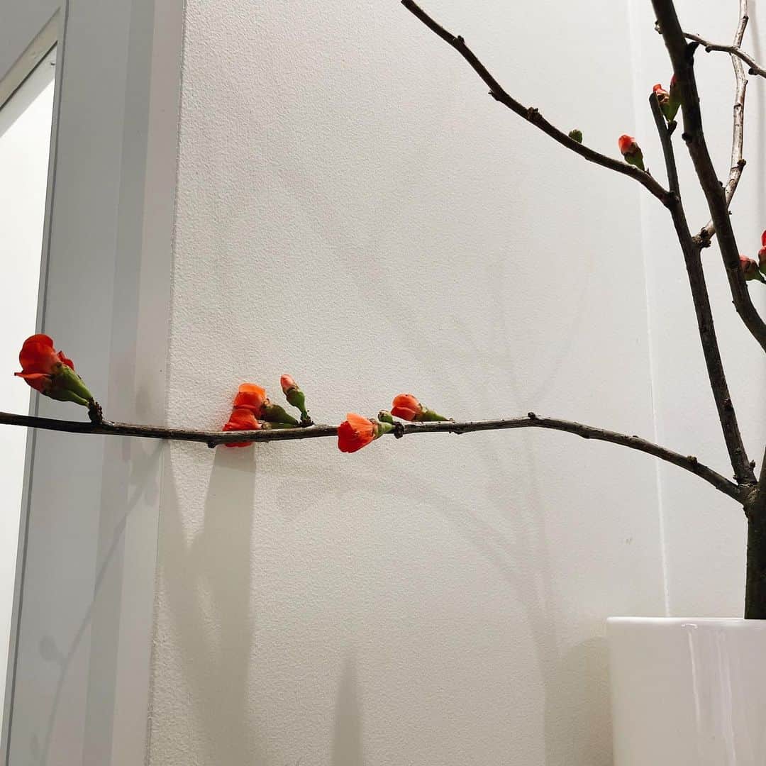 石井陽菜のインスタグラム：「✨」